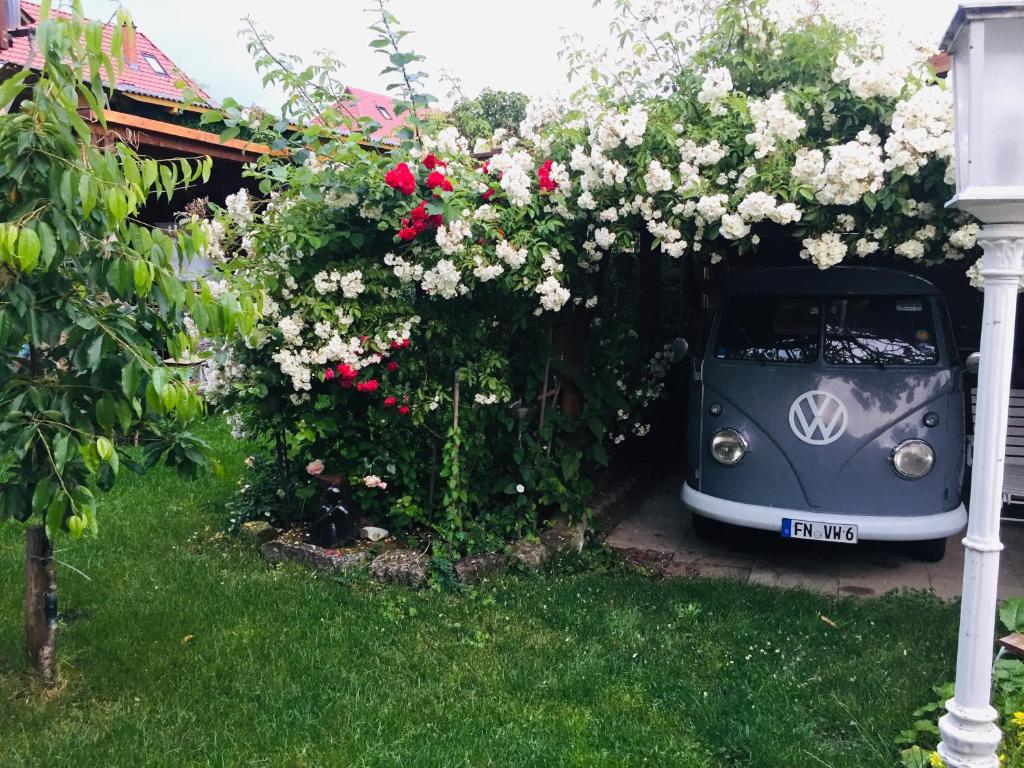 Landhotel Elfenhof photo 2