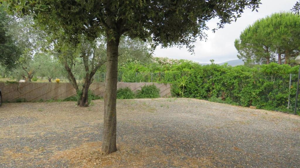 APPARTAMENTI Il rosmarino photo 2