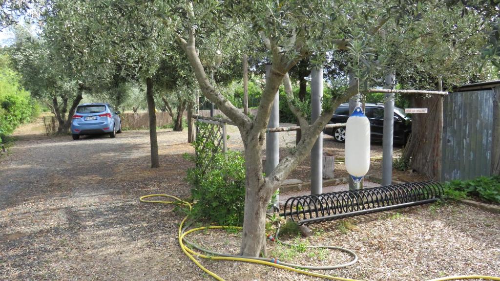 APPARTAMENTI Il rosmarino photo 3