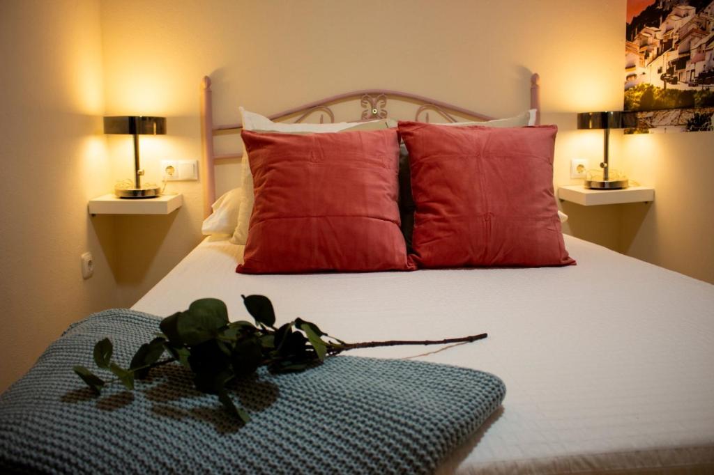 Apartamento Torreon photo 1