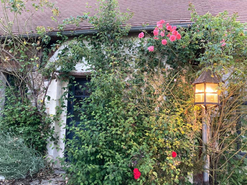 Villa Nymphea photo 2