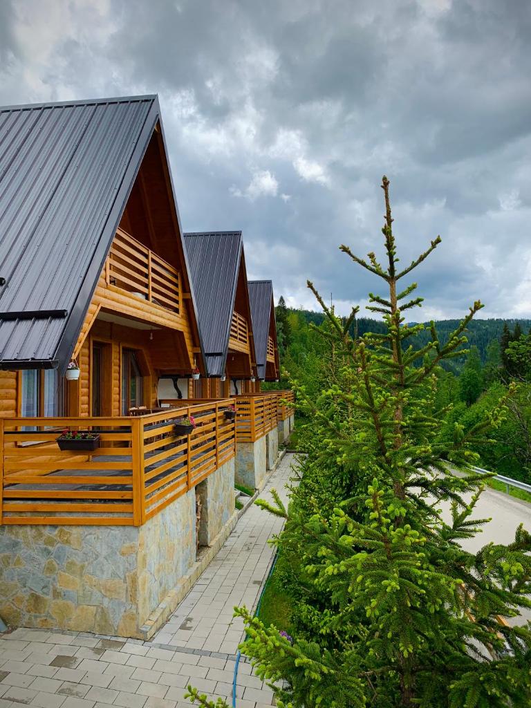 Art Resort photo 1