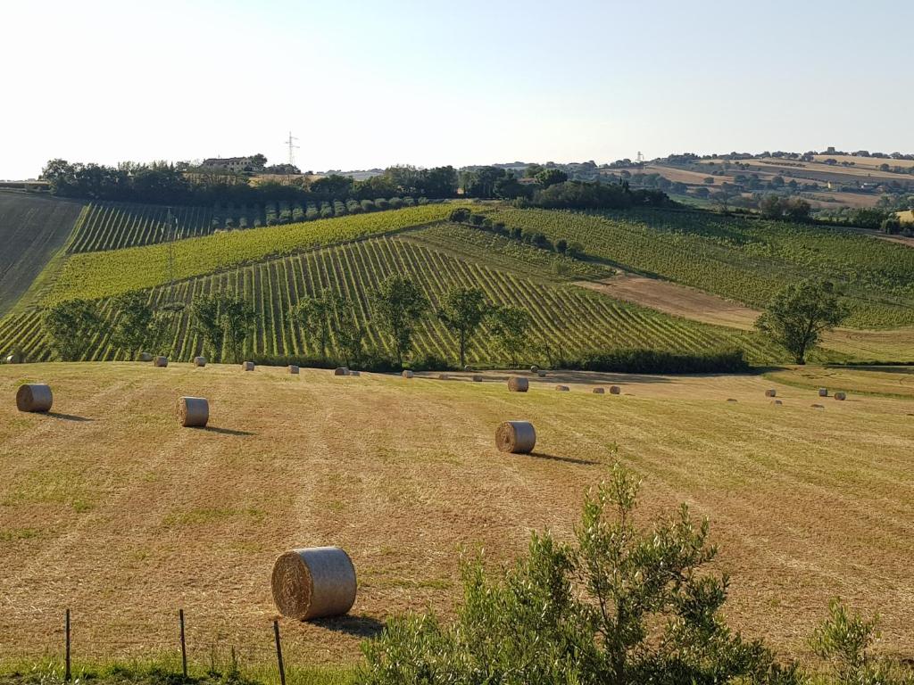 Agriturismo bio Verde Armonia photo 3