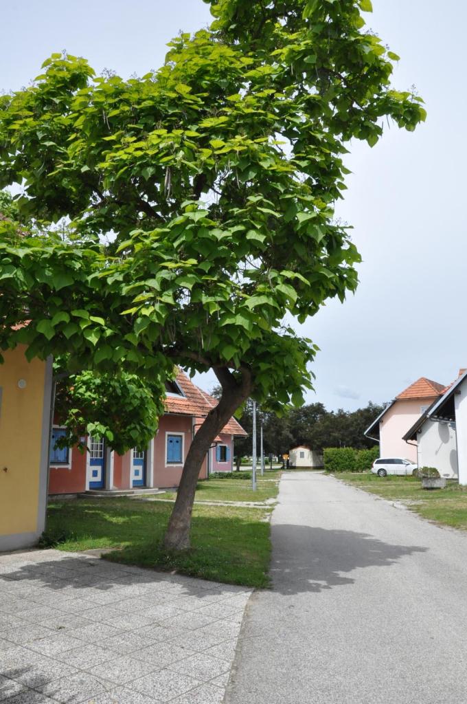 Apartma Julija Hiška 59 photo 2