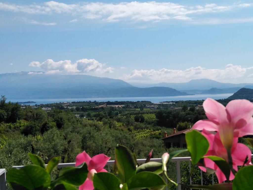Bio B&B Vivere la Vita photo 4