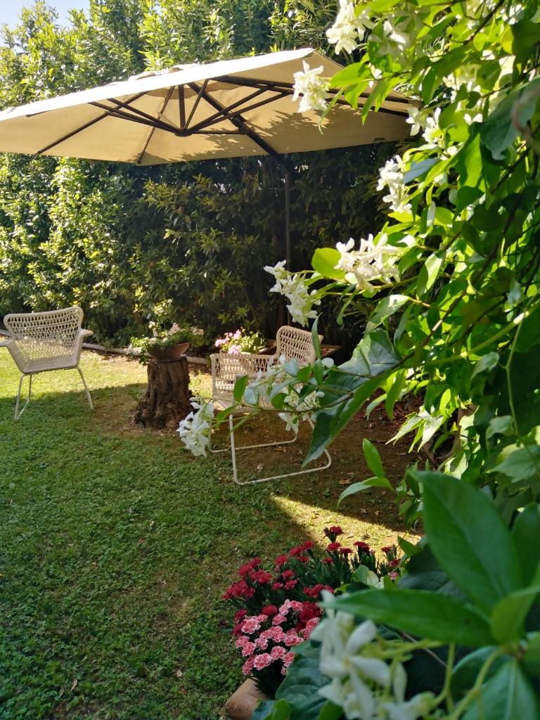 Bio B&B Vivere la Vita photo 2