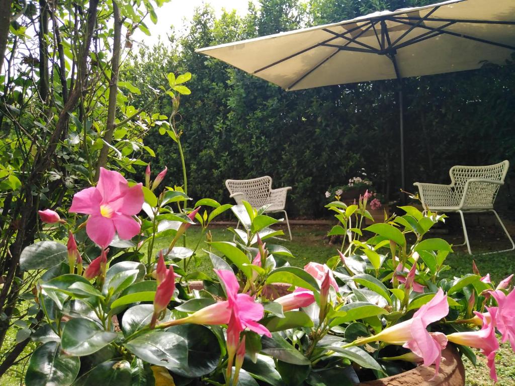 Bio B&B Vivere la Vita photo 1