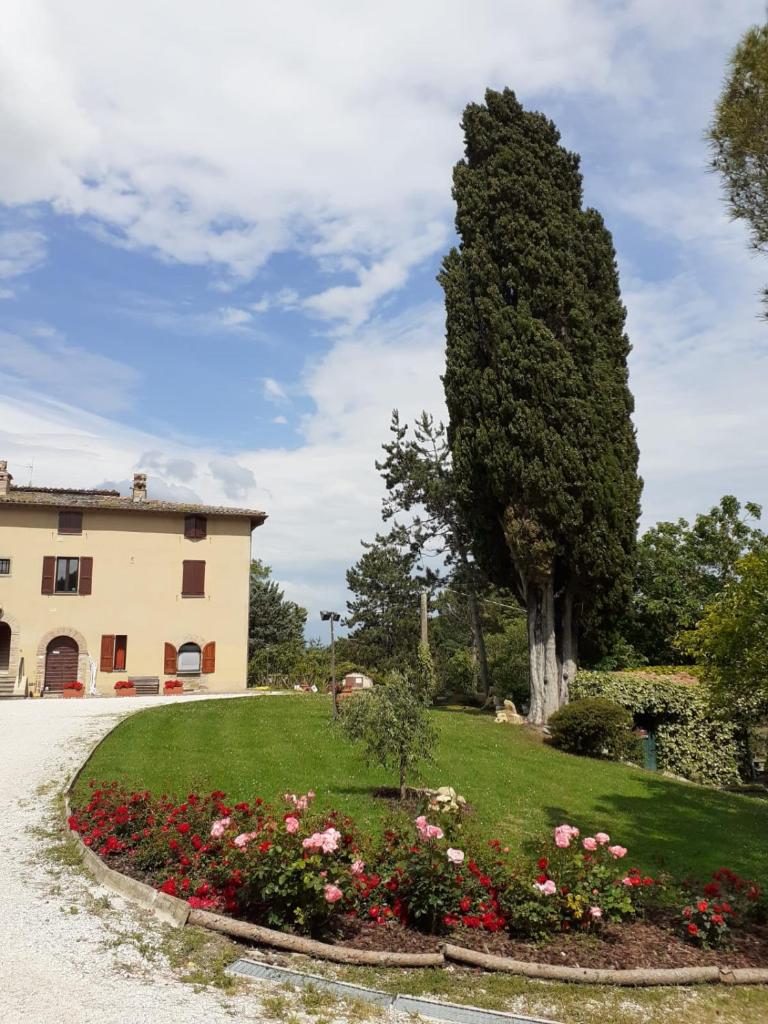 Agriturismo VILLA MOZART nel verde photo 2