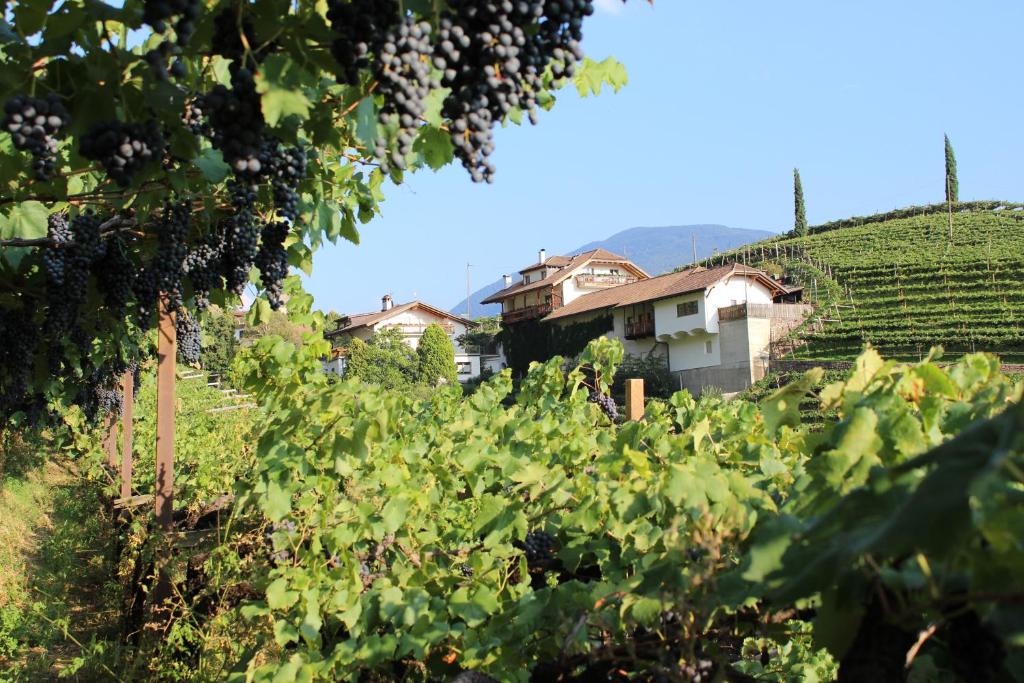 Weingut Eberlehof photo 4