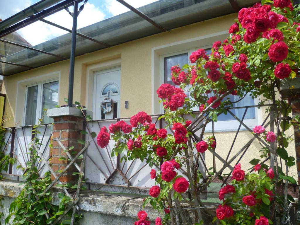 Ferienhaus 1 photo 2