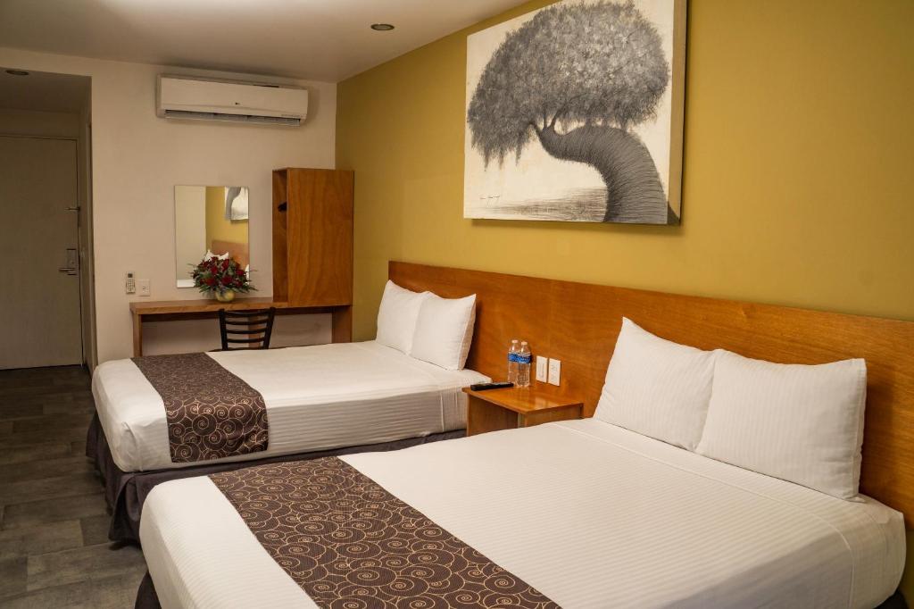 AM Hotel y Plaza photo 4
