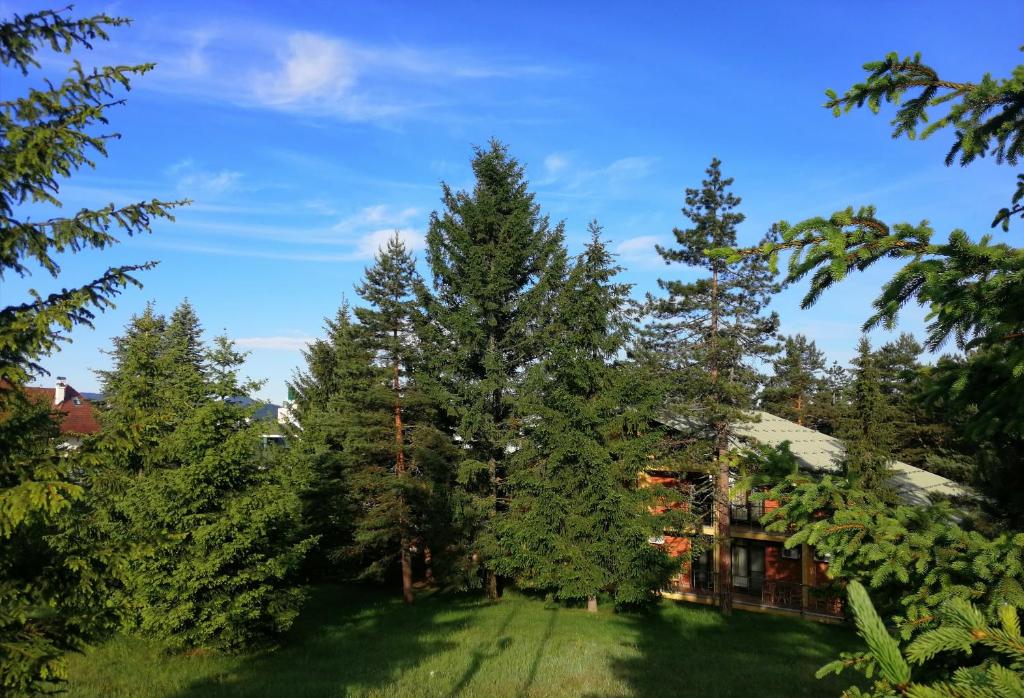 Hotel President garni photo 2