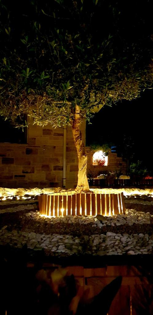 Alonia Hotel photo 4