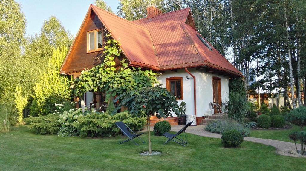 Siedlisko Gruszki Puszcza Białowieska photo 2