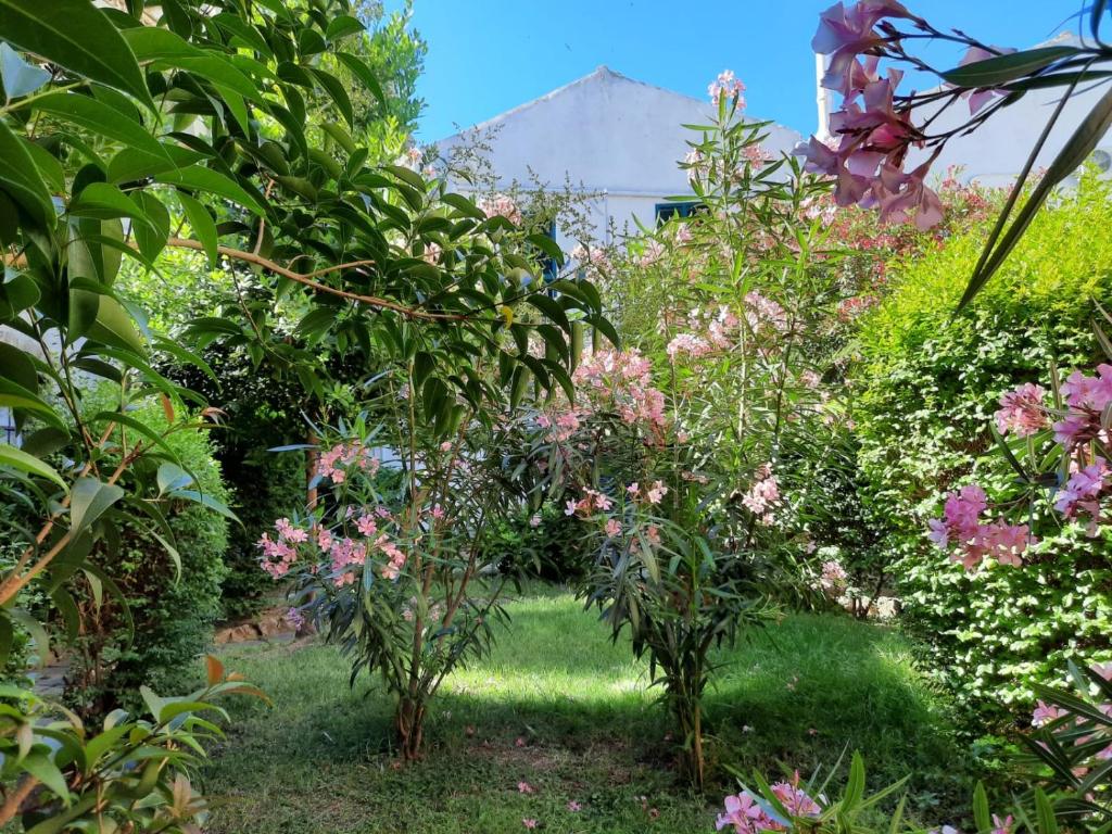 Il Giardino Nascosto B&B photo 4