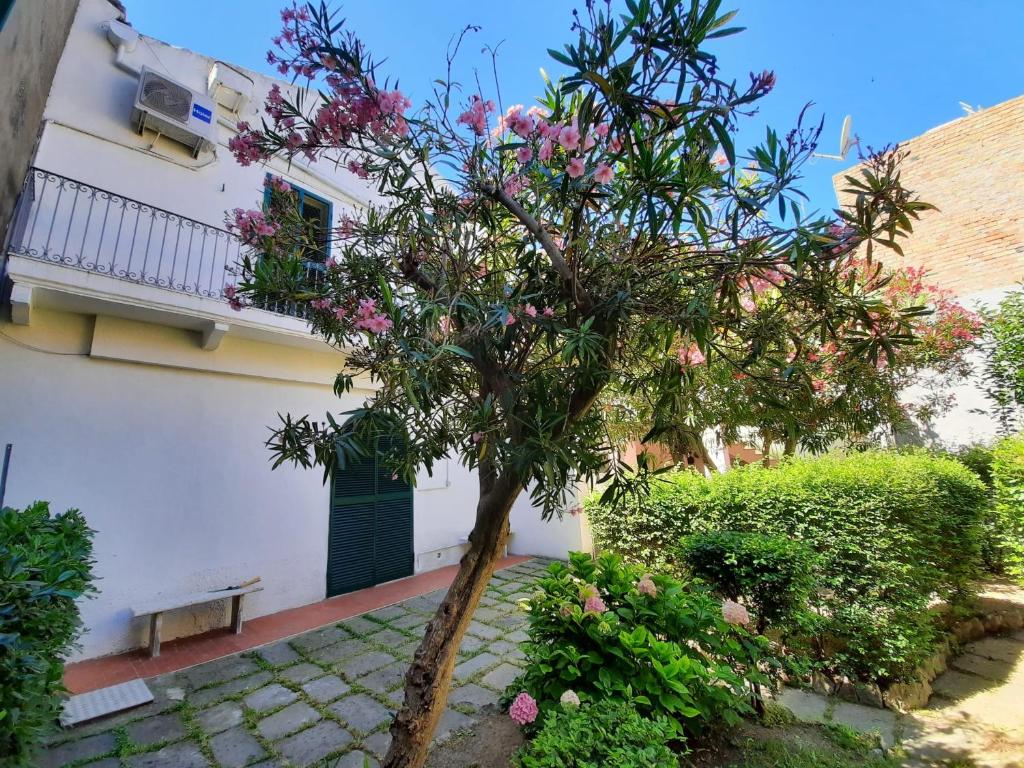 Il Giardino Nascosto B&B photo 3