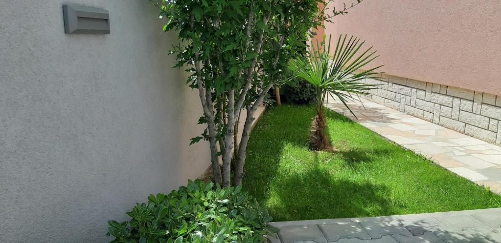 Apartment Sunce photo 1