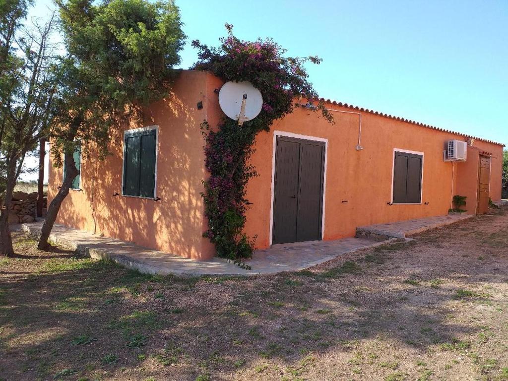La Macciona photo 1
