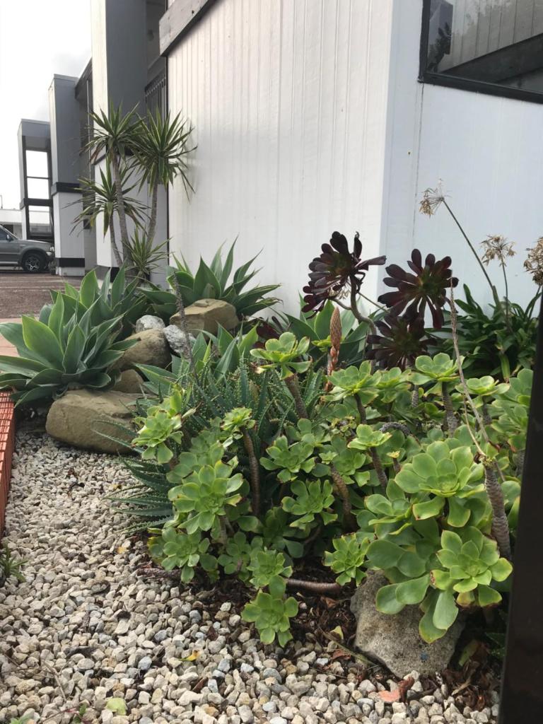 Waikanae Beach Motel photo 4