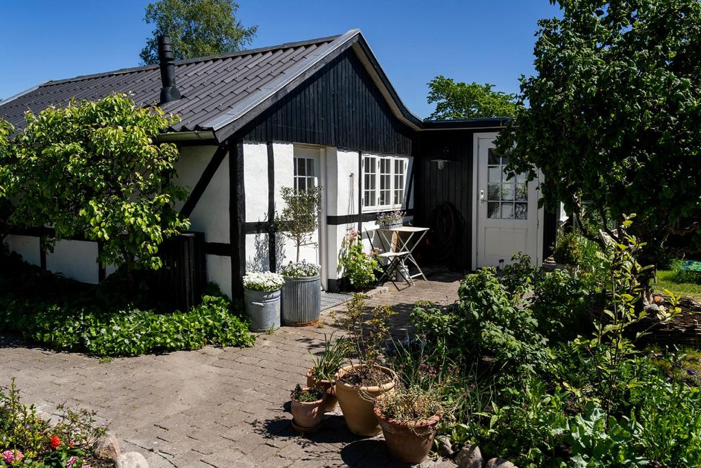 Svenskebakken Bed & Breakfast photo 4
