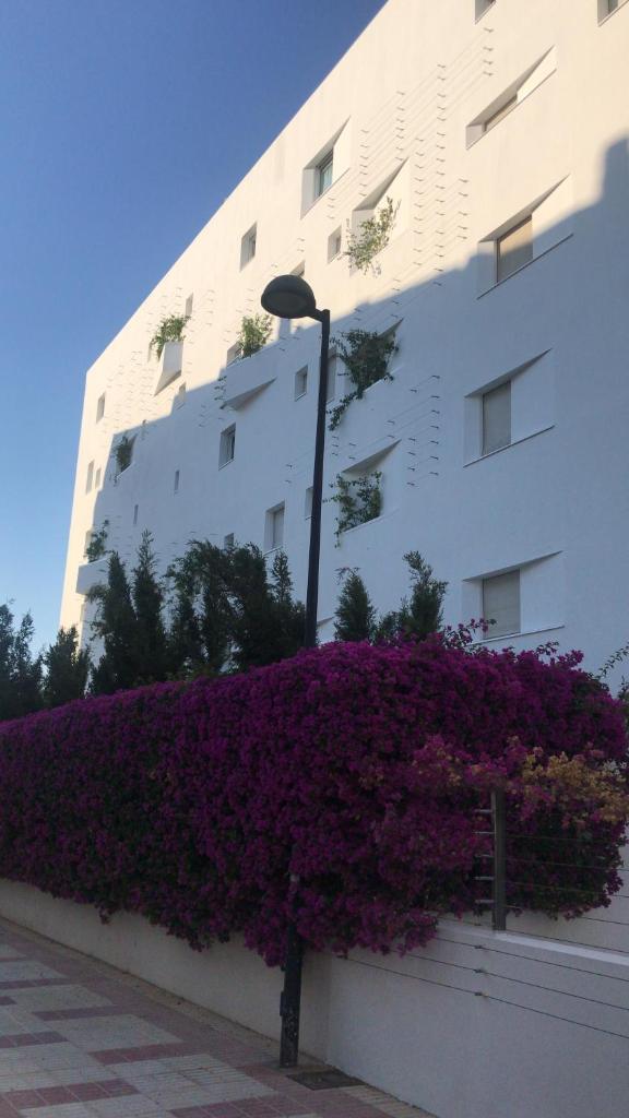 LHG IBIZA Marina Botafoch photo 3