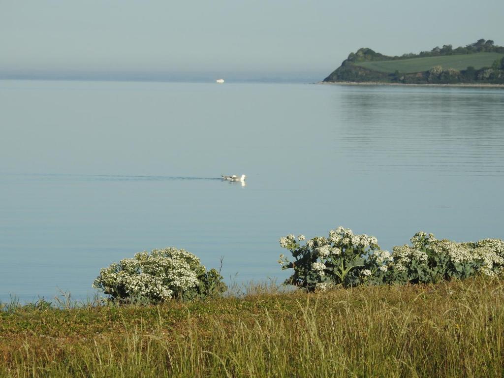 Aa Strand Camping photo 2