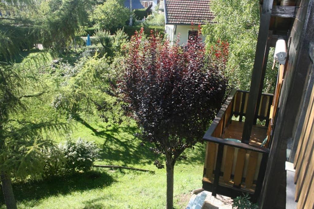 Gîte Le Wallis photo 4