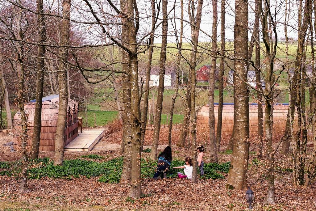 Les Cocons d'Ardenne - Hébergement insolite photo 2