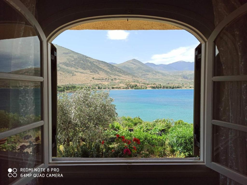 Aphrodite's Coast Retreat House! photo 4