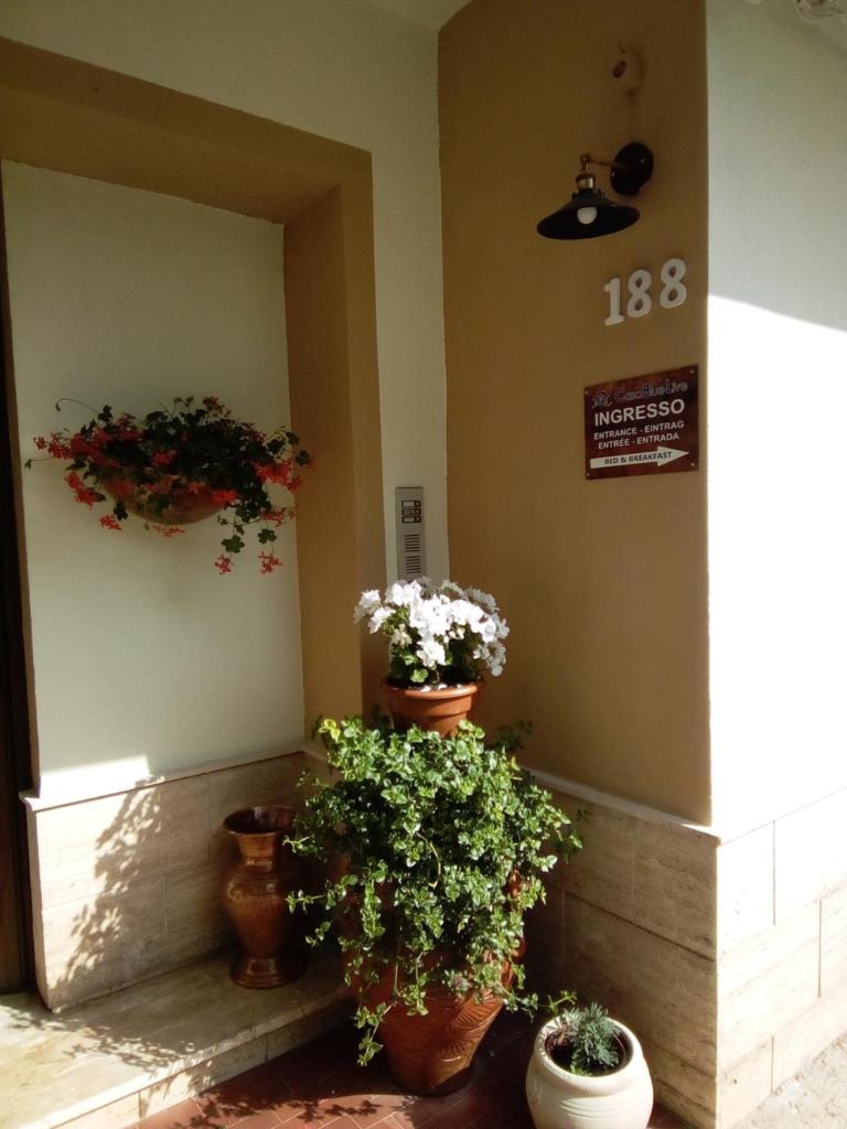 Casa BlueLive photo 1