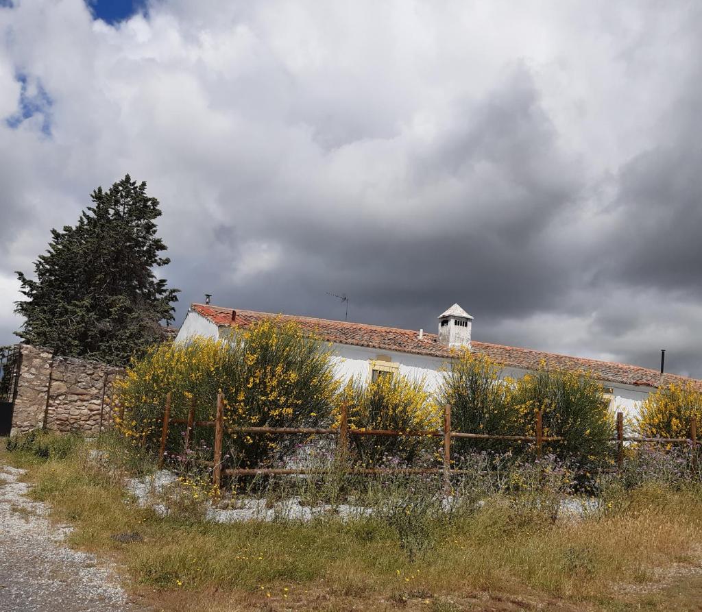 El Aleznal photo 1