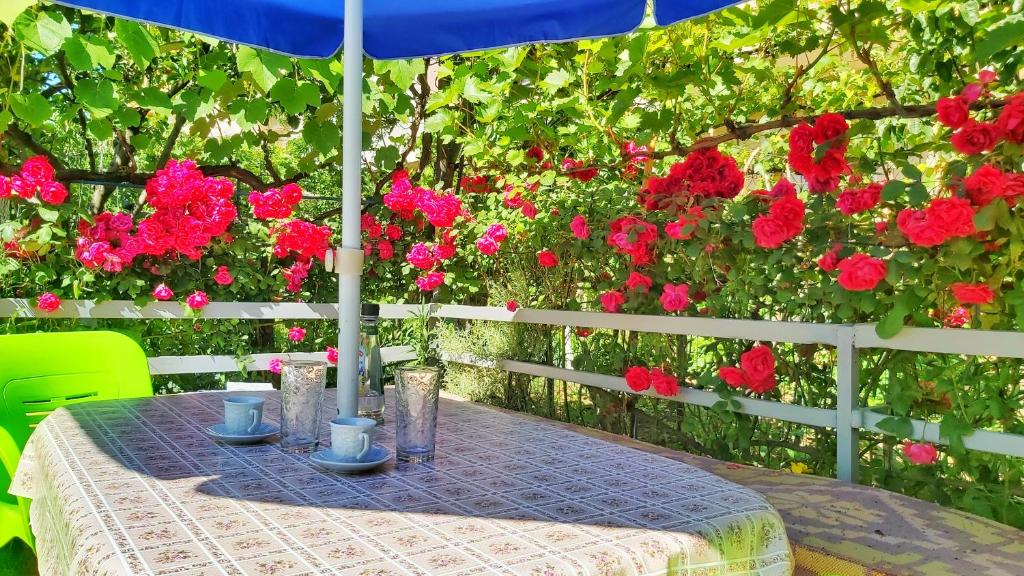 Guest House Pogradeci photo 3