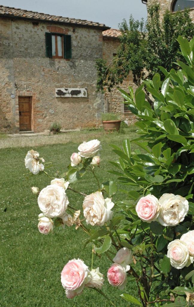 S.M. L'ARCO photo 4