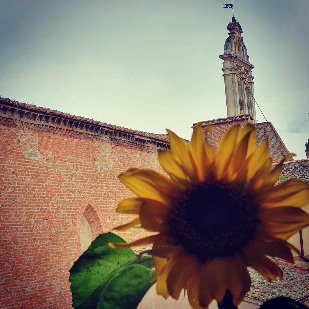 APPARTAMENTS SAN FRANCESCO photo 4