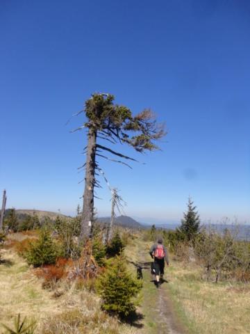 Jägerhäusl photo 4