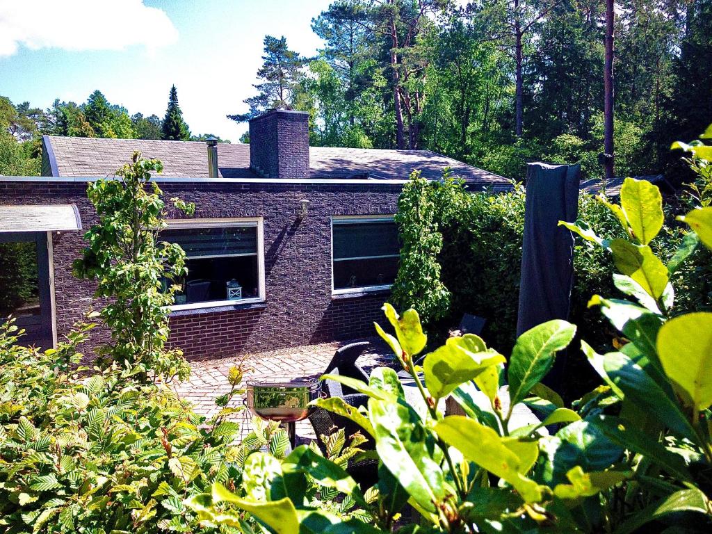 De Drie Beuken