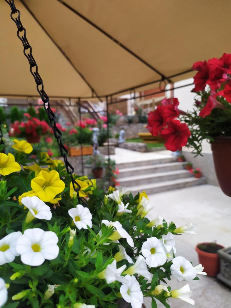 Apartment "JONA "