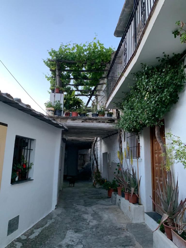 Casita Paloma photo 3