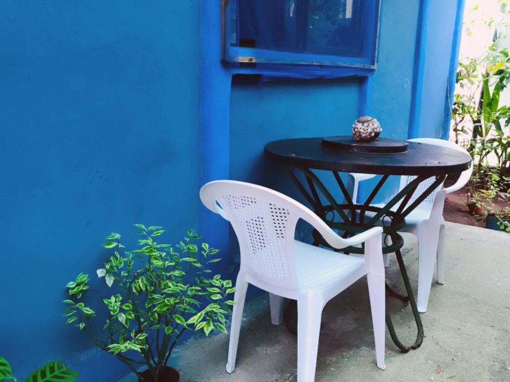 Green Macaw Hostel photo 4