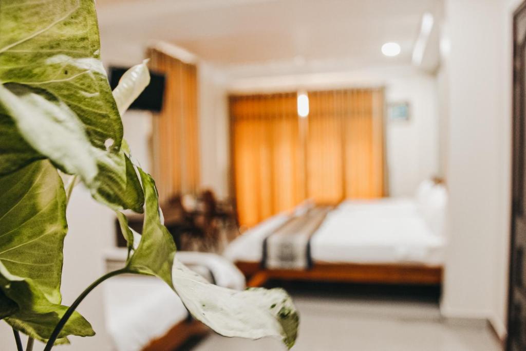 NGOC LINH MOTEL photo 3