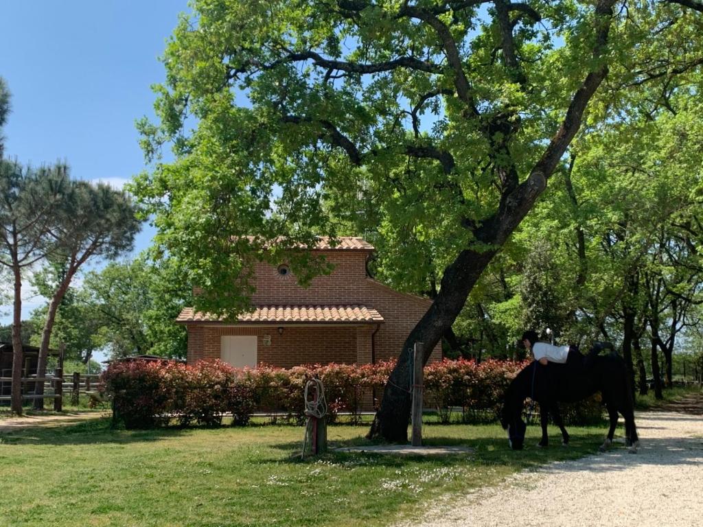 Casina Miriano photo 3