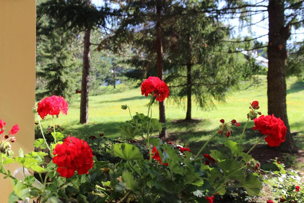 Hotel President garni photo 3