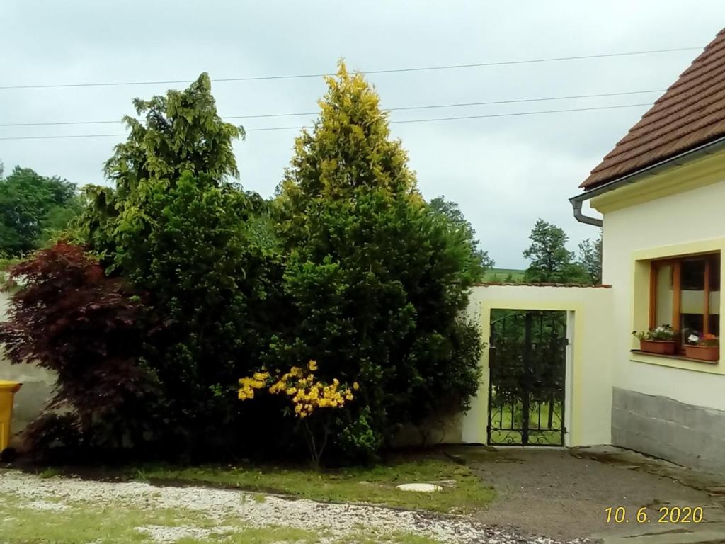 Statek-Hofje photo 2