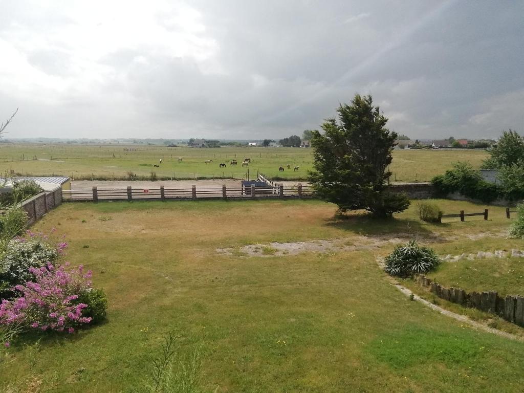 Escale en Baie de Somme photo 3