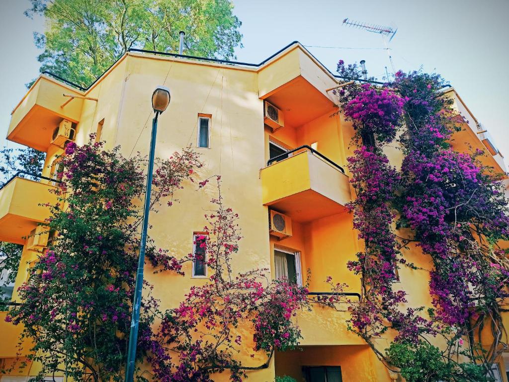 Drosia Hotel photo 1
