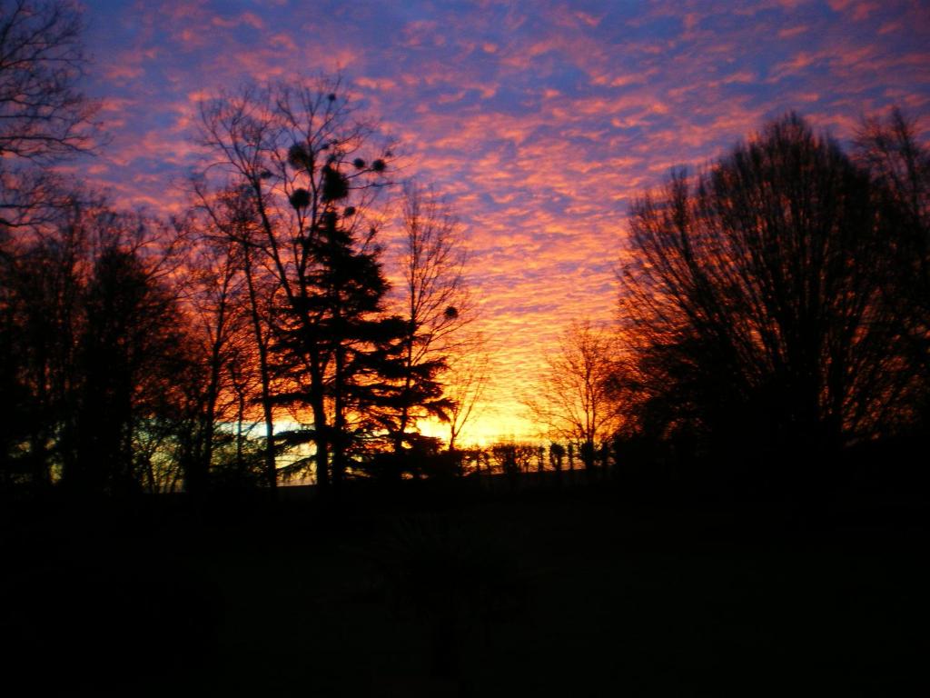La Petite Londe photo 4