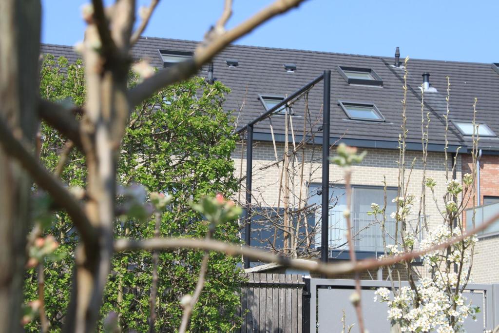 B&B Atuatuca photo 1