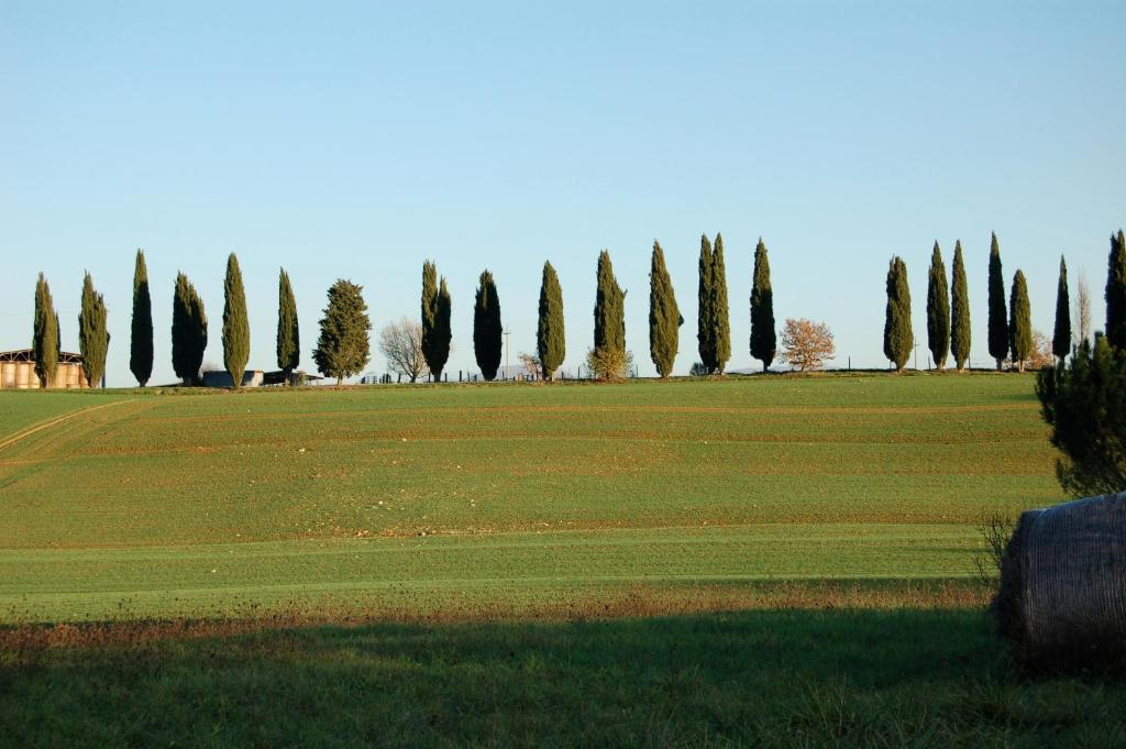 Agriturismo Germogli I Tenuta di Fassia photo 3