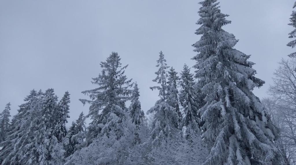 Góralski domek na szczycie photo 4