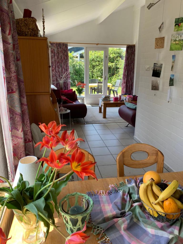 Bungalow36 - Petten photo 2